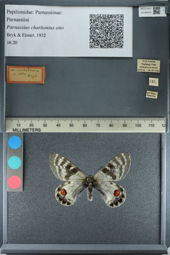 Media type: image;   Entomology 180474